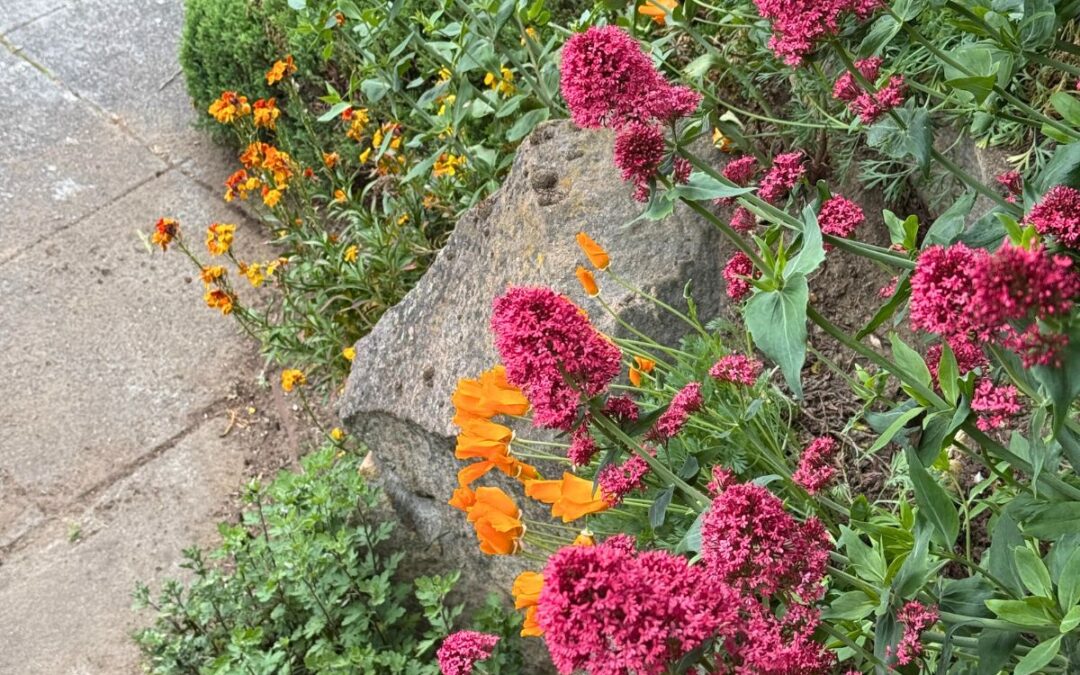 How to Refresh Your Landscape Design for Spring in Seattle