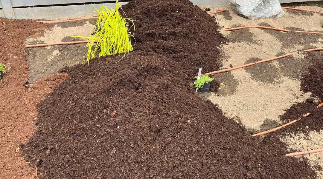 Drip Irrigation and Mulch