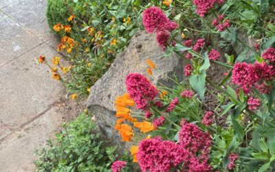 How to Refresh Your Landscape Design for Spring in Seattle