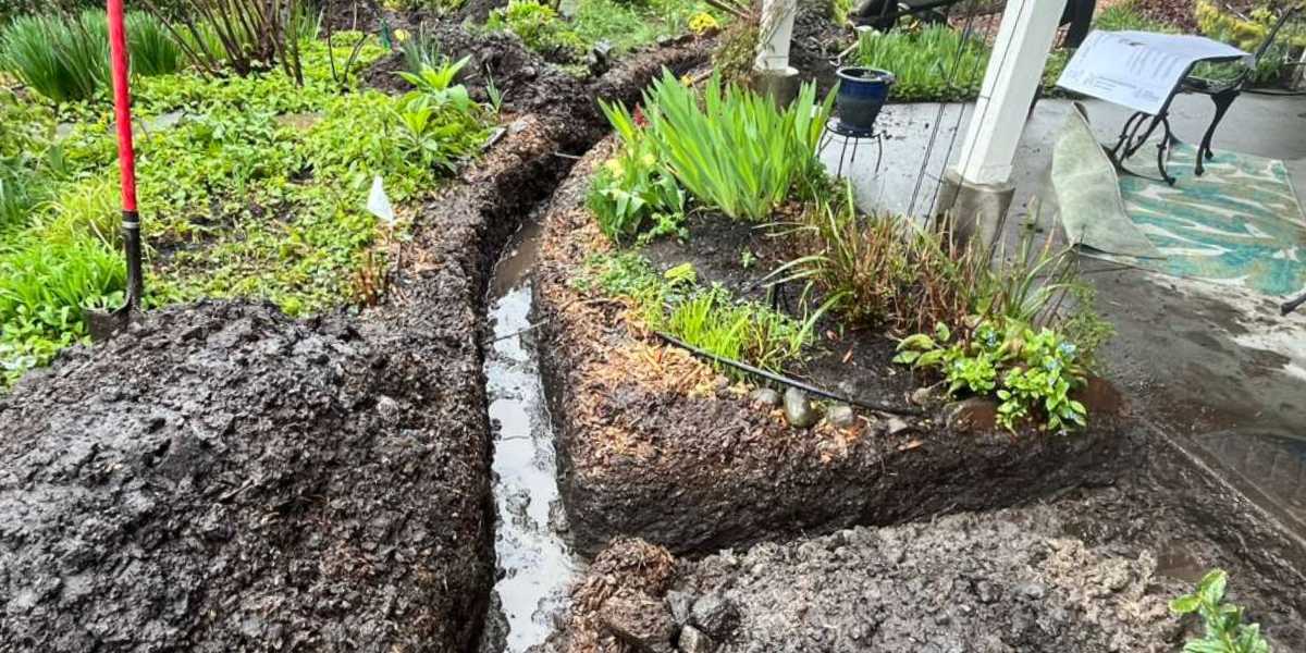 Seattle yard drainage winter