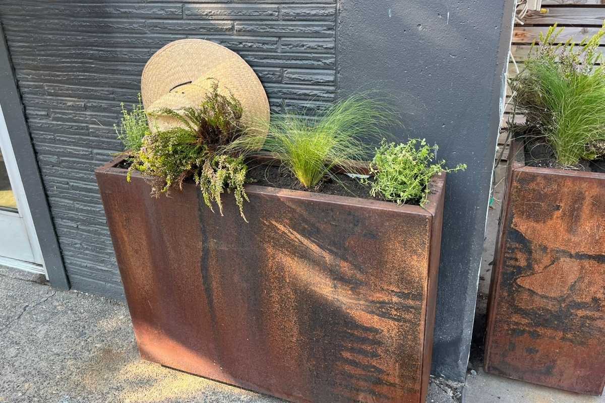 corten steel planters Seattle entryway