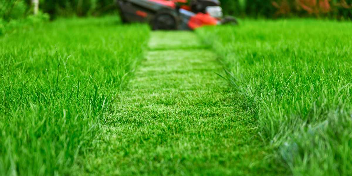 lawn mowing Seattle spring