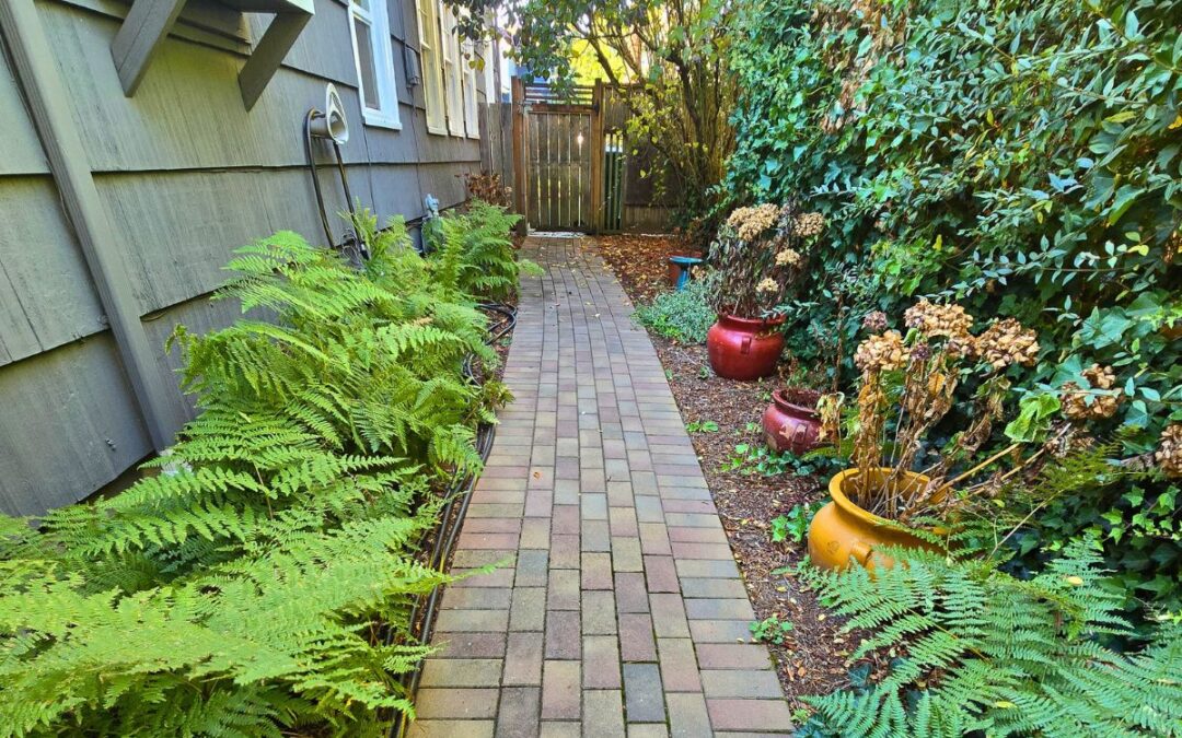 What Does Full-Service Landscape Maintenance Include?