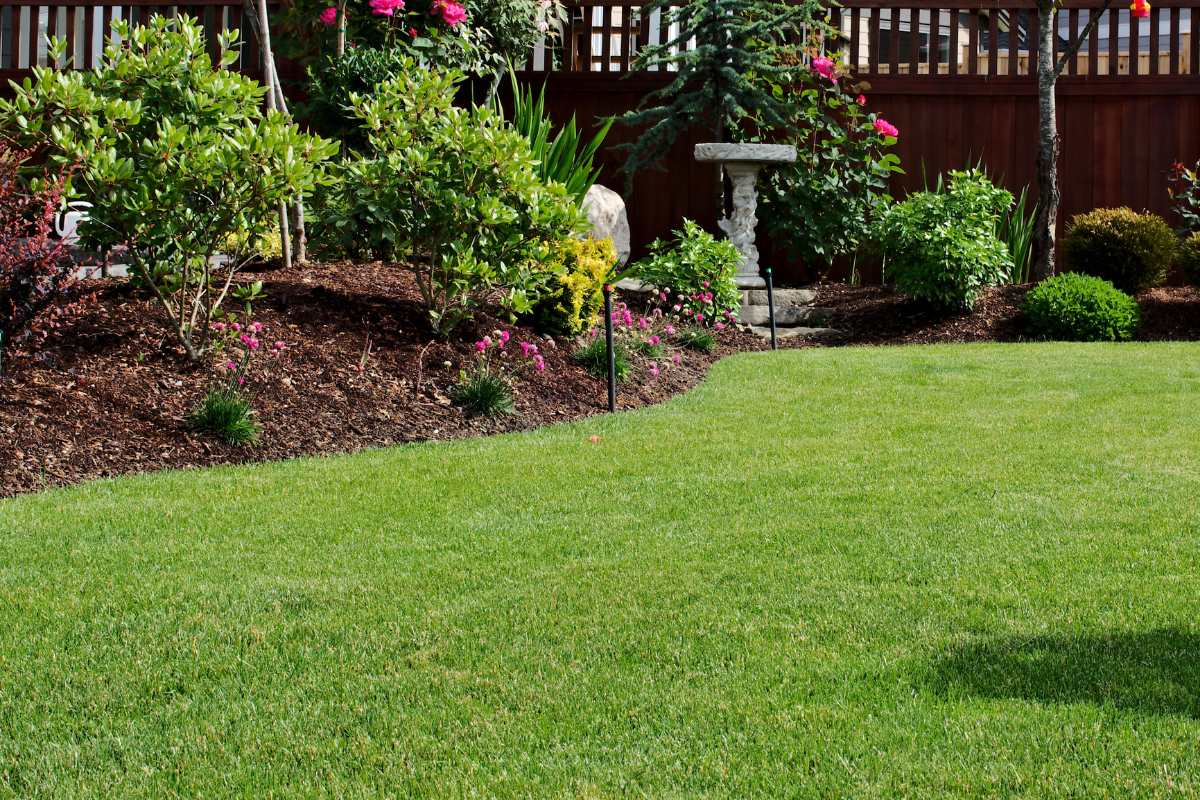 Healthy landscape lawn garden Seattle