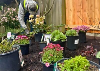 Seasonal color planting design and installation