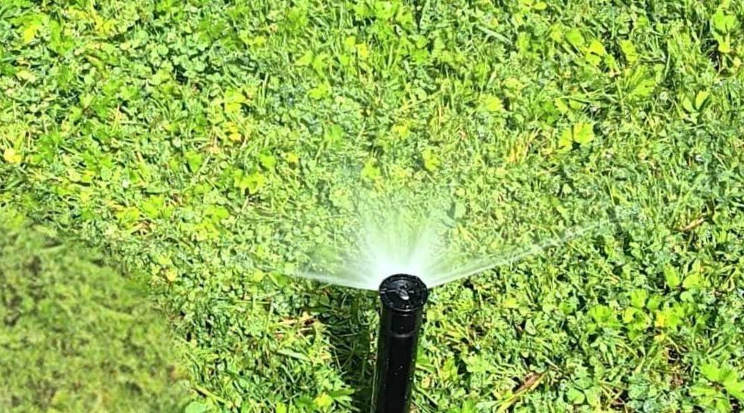sprinkler head adjustment Seattle lawn