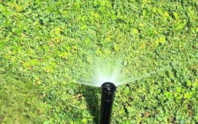 Spring Irrigation Startup in Seattle: Homeowners Guide