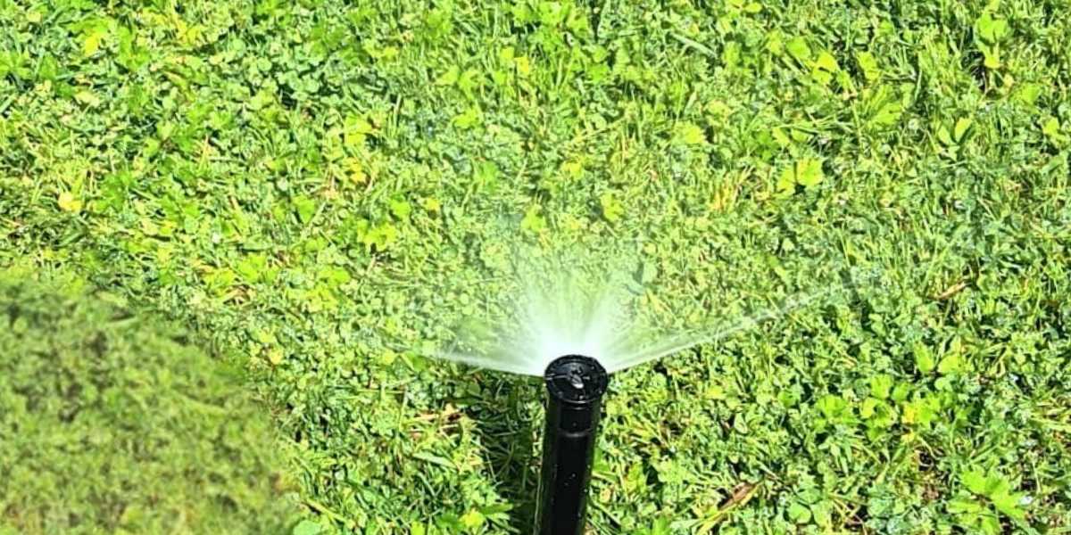 irrigation Seattle summer lawn