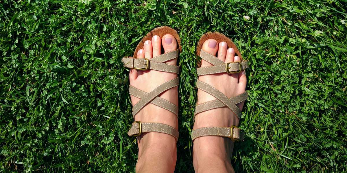 healthy lawn Seattle maintenance