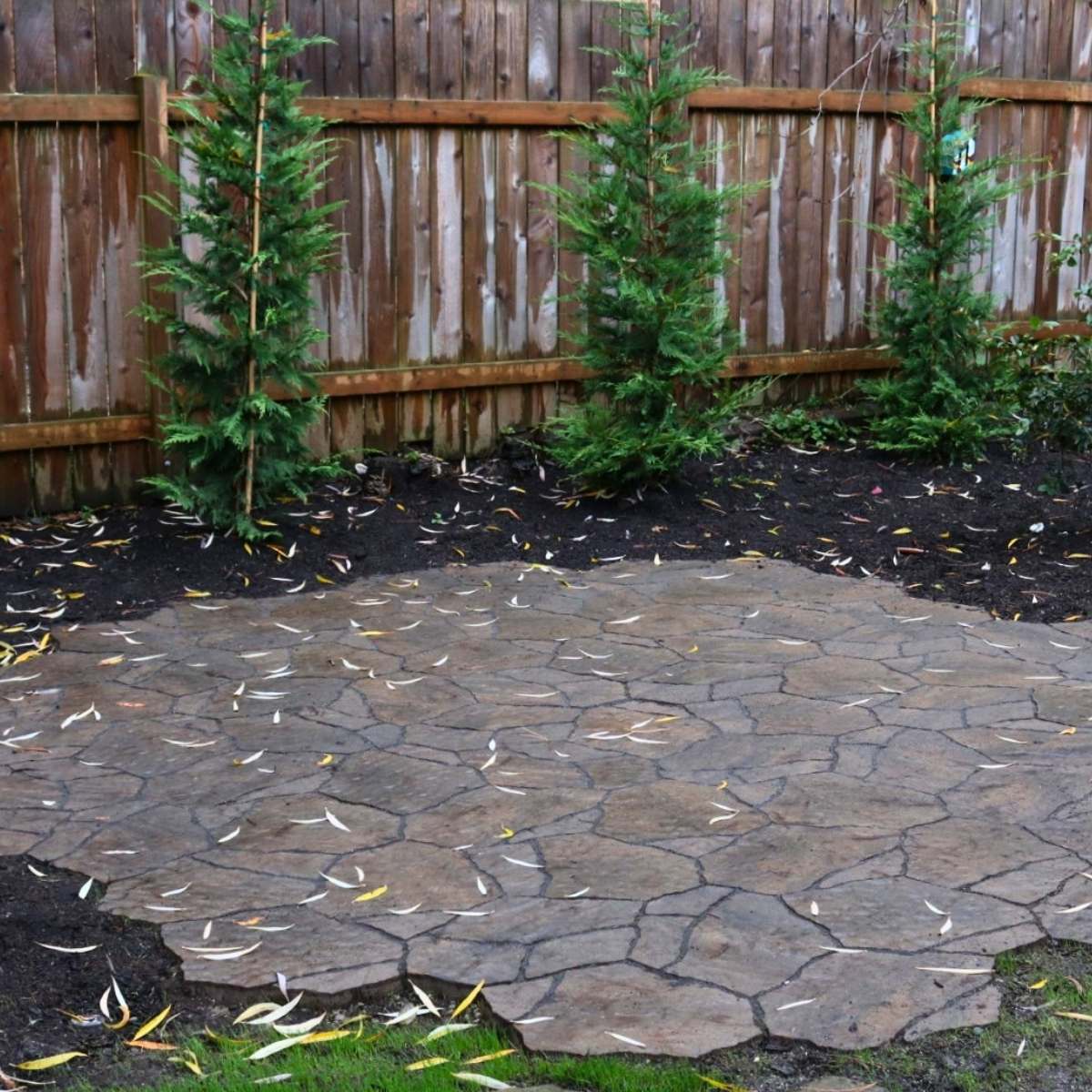 Irregular flagstone patio surrounded by plants