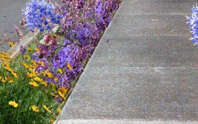 Parking Strip Landscaping Ideas: Favorite Plants for Seattle Curbside Gardens