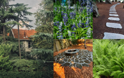 Backyard Transformation Ideas That Truly Fit Your Seattle Home