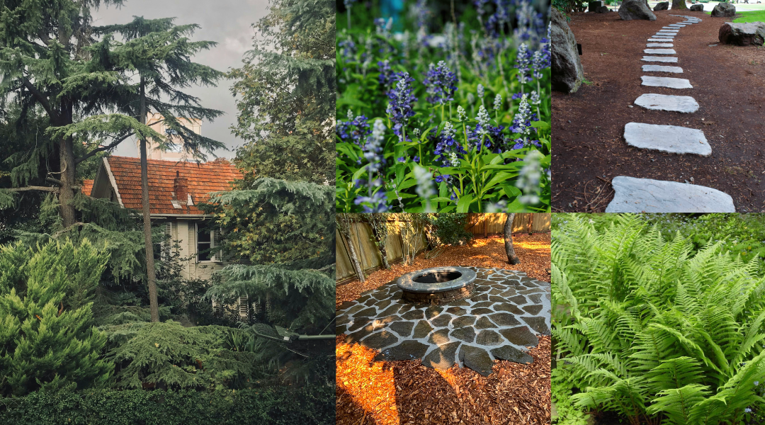 Designer's moodboard before deciding a backyard transformation in Seattle