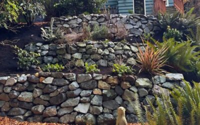 Natural Stone for Landscaping: How to Choose the Right Rock for Your Seattle Garden