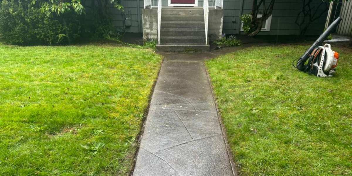 Landscape maintenance in Seattle residential yard