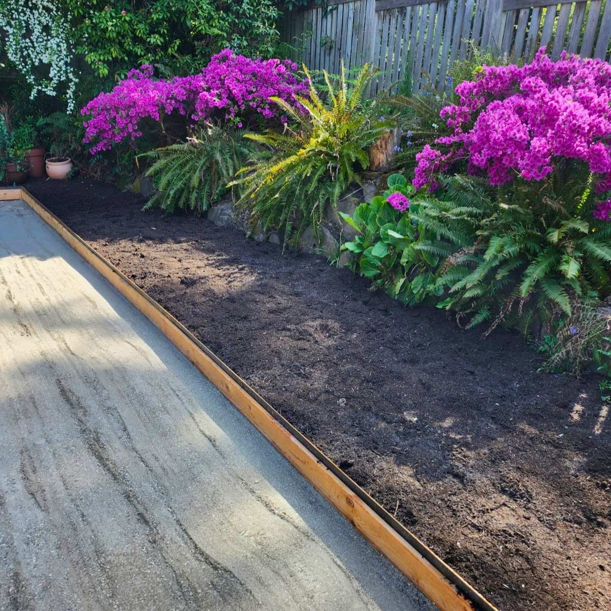 Low-maintenance bocce court with planting in Pacific Northwest landscape