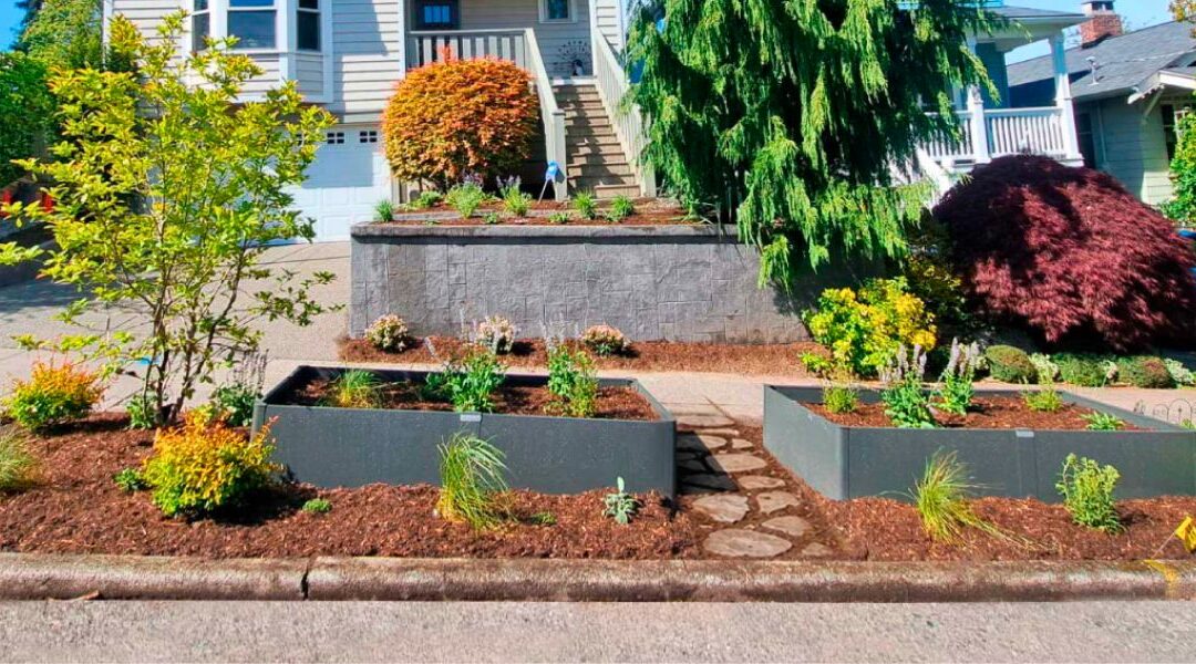 Parking strip landscaping ideas with lavender and thyme along a Seattle sidewalk