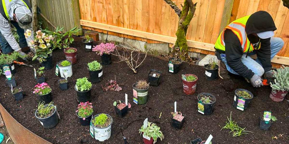 Landscapers Crew Planting Seasonal Color