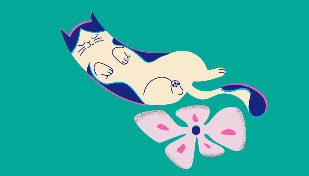 A cat quietly sleeping on the grass