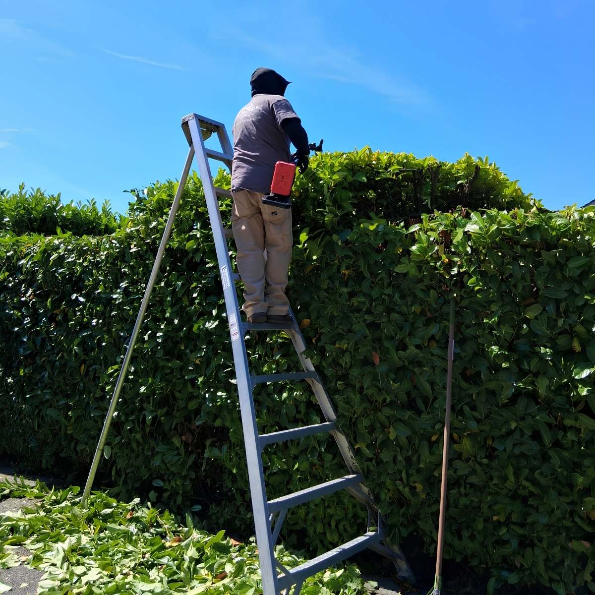 Battery-powered trimmer