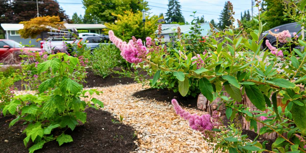 A sustainable landscape design. 