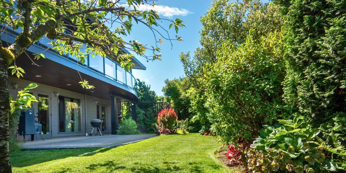 A beautiful yard maintained by sustainable landscaping