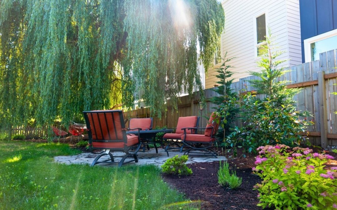 How to Keep Your Lawn Healthy During a Seattle Heatwave