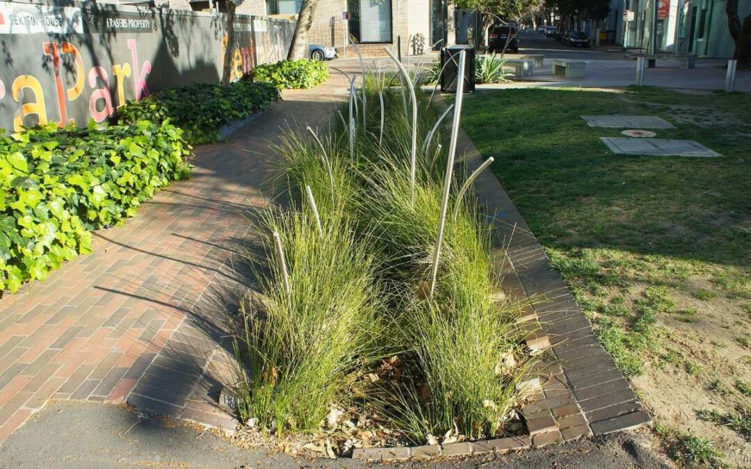 Stormwater Management through Landscape Design in Seattle