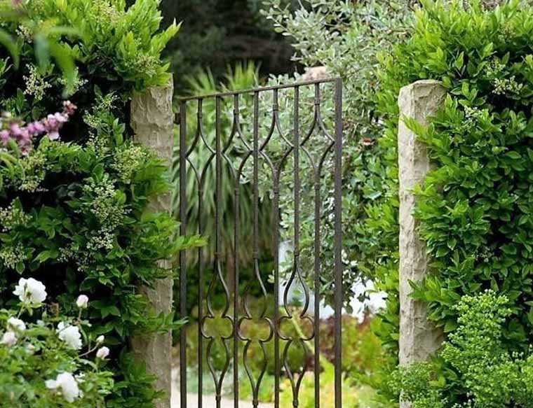 Decorative Gate
Custom details turn a practical entry into a landscape feature.