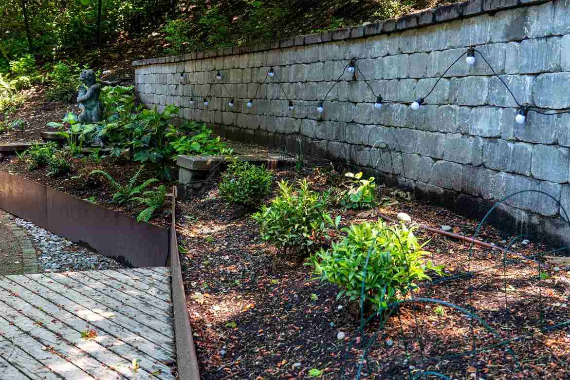 String lights String lights draped over a retaining wall in a Seattle garden
