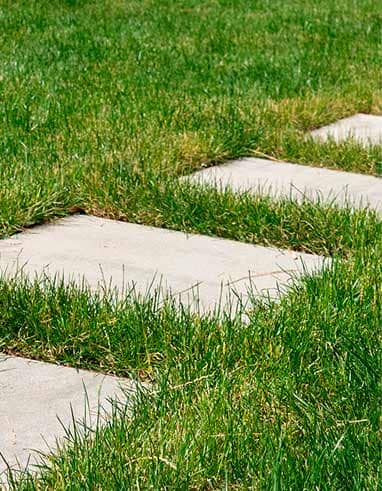 Lawn between the stones