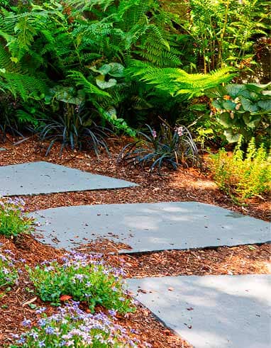 Mulch and groundcovers
