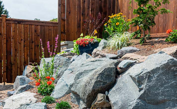 Hardy plants installed around a natural stone retaining wall.