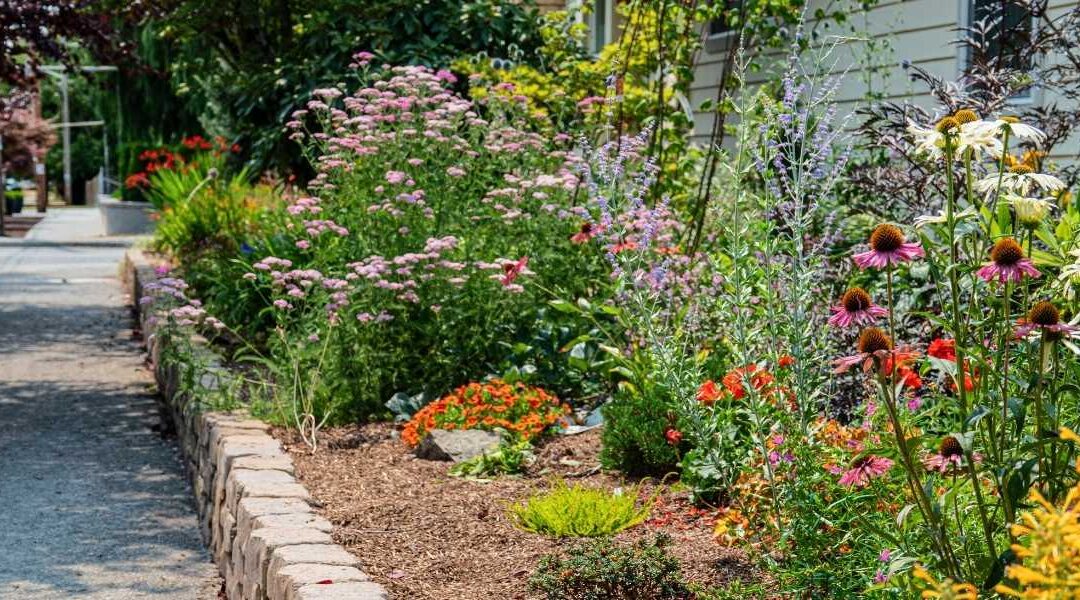 Residential landscape with maintained garden beds and mature trees on Mercer Island, WA