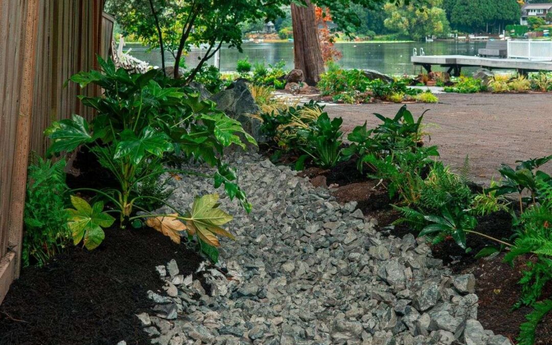 Drainage installed in a Seattle yard to prevent stormwater pollution